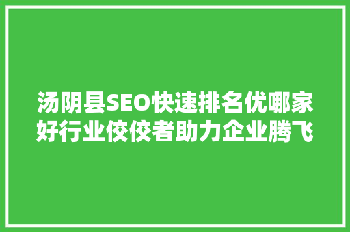 汤阴县SEO快速排名优哪家好行业佼佼者助力企业腾飞