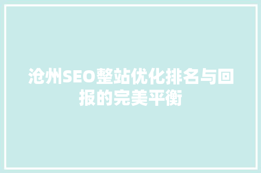 沧州SEO整站优化排名与回报的完美平衡