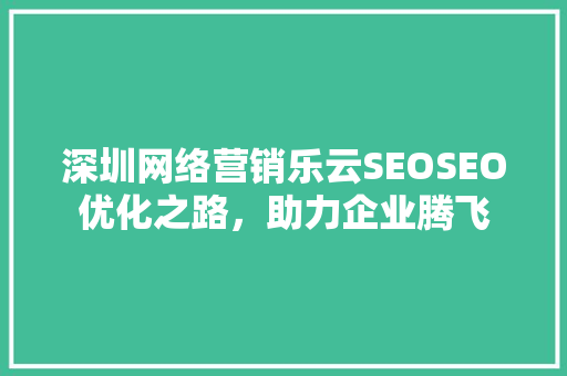 深圳网络营销乐云SEOSEO优化之路，助力企业腾飞