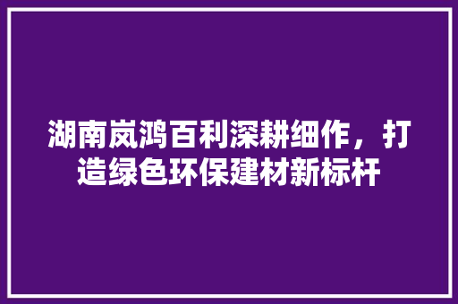 湖南岚鸿百利深耕细作，打造绿色环保建材新标杆