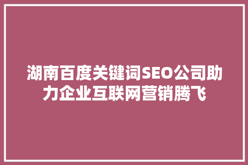 湖南百度关键词SEO公司助力企业互联网营销腾飞