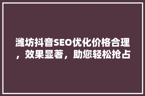 潍坊抖音SEO优化价格合理，效果显著，助您轻松抢占市场先机