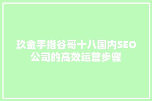 玖金手指谷哥十八国内SEO公司的高效运营步骤