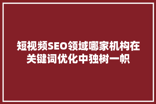 短视频SEO领域哪家机构在关键词优化中独树一帜