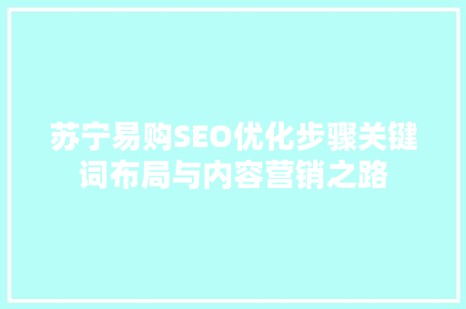 苏宁易购SEO优化步骤关键词布局与内容营销之路