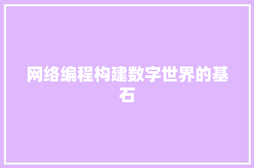 网络编程构建数字世界的基石