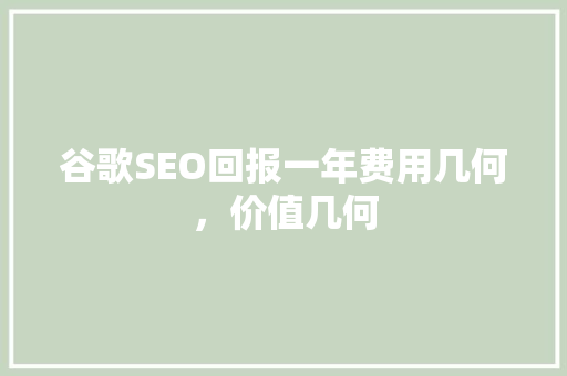 谷歌SEO回报一年费用几何，价值几何