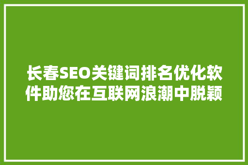 长春SEO关键词排名优化软件助您在互联网浪潮中脱颖而出