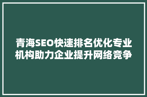 青海SEO快速排名优化专业机构助力企业提升网络竞争力