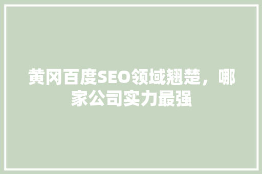 黄冈百度SEO领域翘楚，哪家公司实力最强