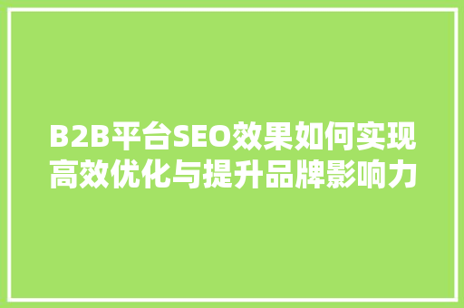 B2B平台SEO效果如何实现高效优化与提升品牌影响力