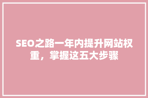 SEO之路一年内提升网站权重，掌握这五大步骤