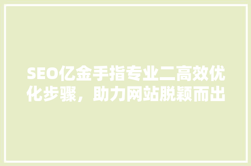 SEO亿金手指专业二高效优化步骤，助力网站脱颖而出