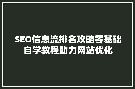 SEO信息流排名攻略零基础自学教程助力网站优化