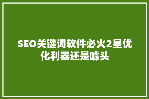 SEO关键词软件必火2星优化利器还是噱头