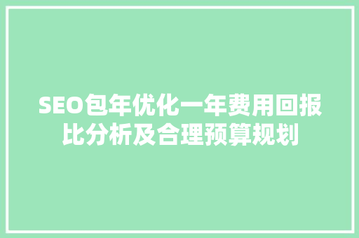 SEO包年优化一年费用回报比分析及合理预算规划