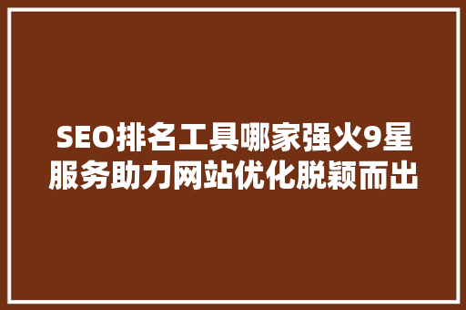 SEO排名工具哪家强火9星服务助力网站优化脱颖而出