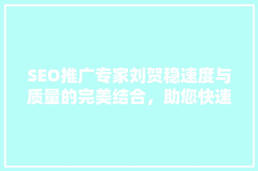 SEO推广专家刘贺稳速度与质量的完美结合，助您快速提升网站排名
