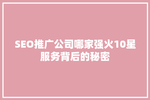 SEO推广公司哪家强火10星服务背后的秘密