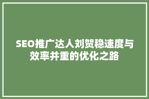 SEO推广达人刘贺稳速度与效率并重的优化之路