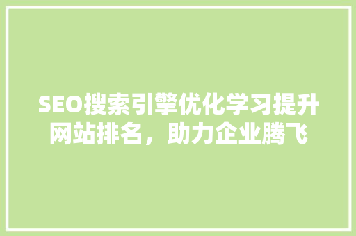 SEO搜索引擎优化学习提升网站排名，助力企业腾飞