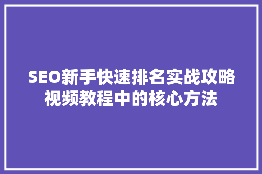 SEO新手快速排名实战攻略视频教程中的核心方法