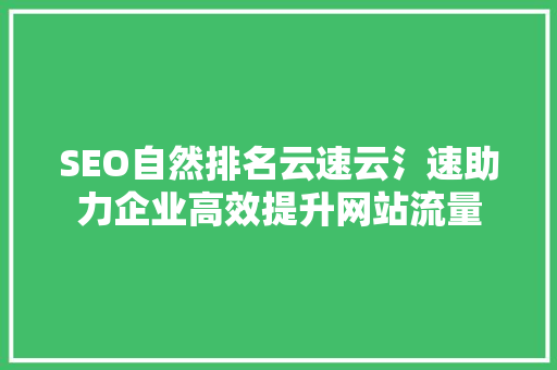 SEO自然排名云速云氵速助力企业高效提升网站流量  第1张