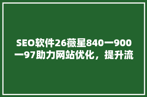 SEO软件26薇星840一900一97助力网站优化，提升流量与排名