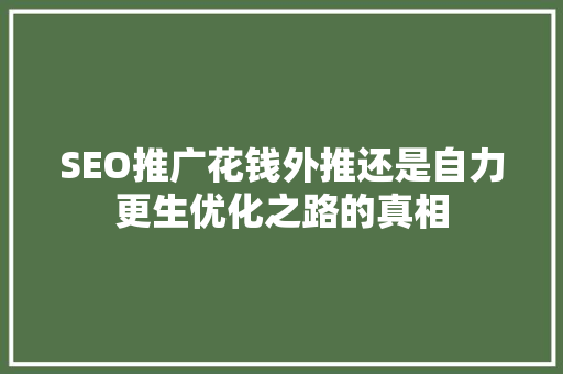 SEO推广花钱外推还是自力更生优化之路的真相