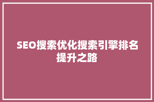 SEO搜索优化搜索引擎排名提升之路