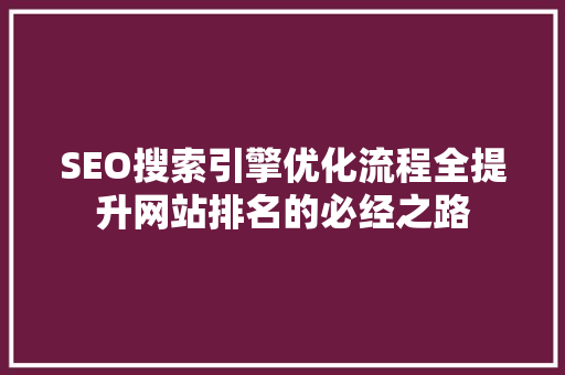 SEO搜索引擎优化流程全提升网站排名的必经之路