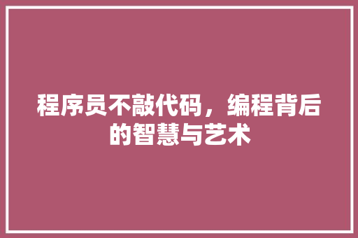 程序员不敲代码，编程背后的智慧与艺术