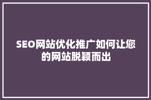 SEO网站优化推广如何让您的网站脱颖而出  第1张