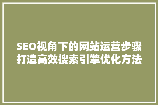 SEO视角下的网站运营步骤打造高效搜索引擎优化方法