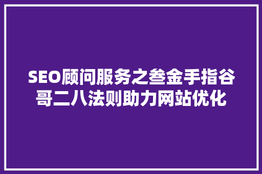 SEO顾问服务之叁金手指谷哥二八法则助力网站优化