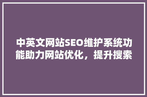 中英文网站SEO维护系统功能助力网站优化，提升搜索排名  第1张