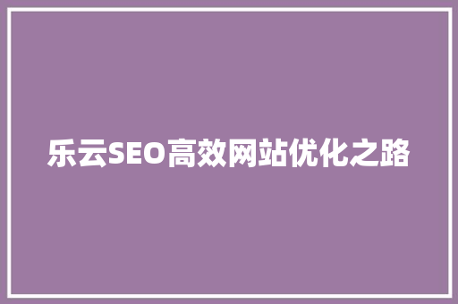 乐云SEO高效网站优化之路