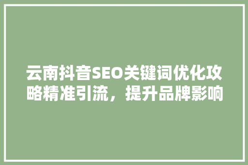 云南抖音SEO关键词优化攻略精准引流，提升品牌影响力