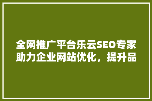 全网推广平台乐云SEO专家助力企业网站优化，提升品牌影响力