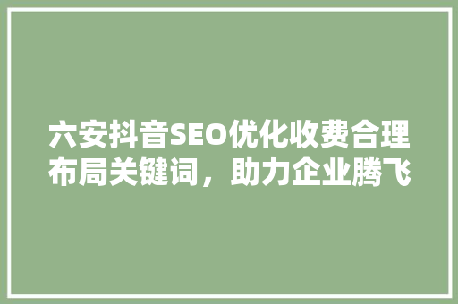六安抖音SEO优化收费合理布局关键词，助力企业腾飞