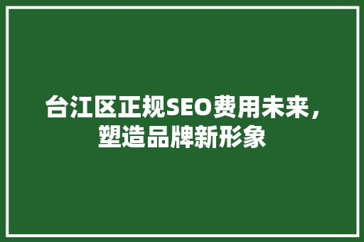台江区正规SEO费用未来，塑造品牌新形象