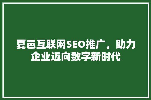 夏邑互联网SEO推广，助力企业迈向数字新时代