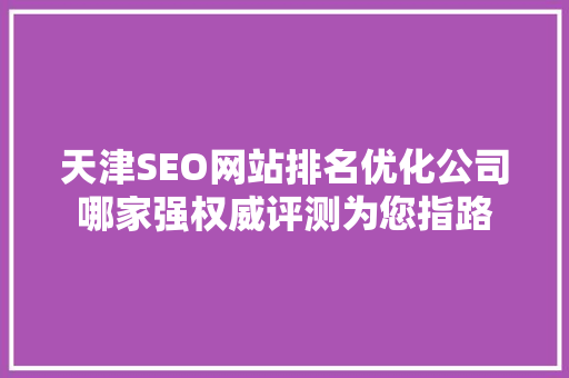 天津SEO网站排名优化公司哪家强权威评测为您指路