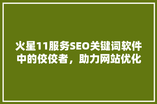 火星11服务SEO关键词软件中的佼佼者，助力网站优化事半功倍