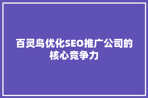 百灵鸟优化SEO推广公司的核心竞争力