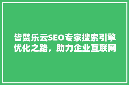 皆赞乐云SEO专家搜索引擎优化之路，助力企业互联网腾飞
