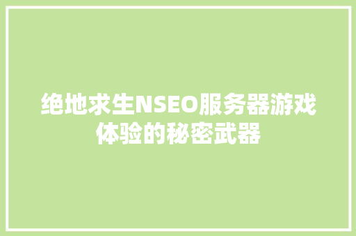 绝地求生NSEO服务器游戏体验的秘密武器