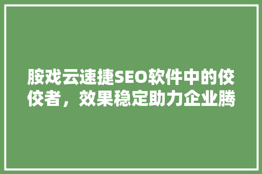 胺戏云速捷SEO软件中的佼佼者，效果稳定助力企业腾飞