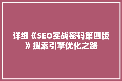 详细《SEO实战密码第四版》搜索引擎优化之路