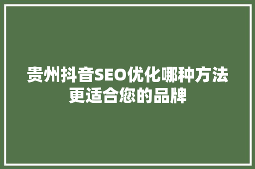 贵州抖音SEO优化哪种方法更适合您的品牌